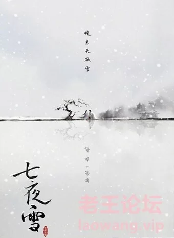 crazecat下载加速器—www.crazecat.com]2024年中国大陆古装武侠剧集《七夜雪[全集]》2.jpg